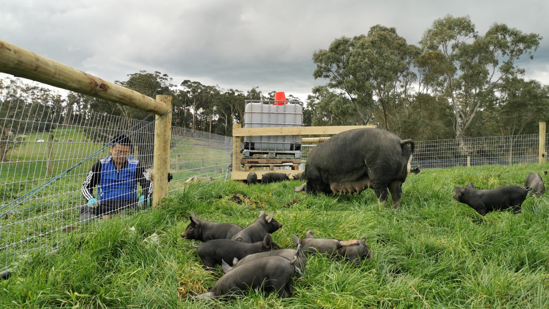 Farm accommodation